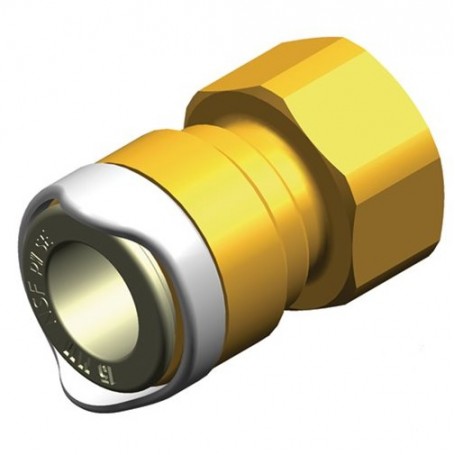 Female thread adaptor 1/2" bsp-s15 brass whale