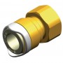Female thread adaptor 1/2" bsp-s15 brass whale