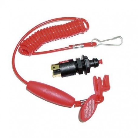 Ignition kill switch