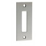 Striking plate chromed brass 64x30mm