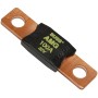 Fusible Amg 100A