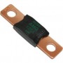 Amg fuse 125a