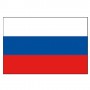 Russian flag 30x20cm