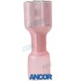 Terminal faston with heat shrink 0.3-0.8 mm (per unit)ANCOR