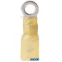 Terminal with heat shrink 3-5mm (pack 3 qty) ANCOR