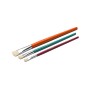 Anza set of 12 flat brushes