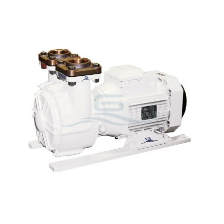 GIANNESCHI  ACB 61G B 230V.MON. 50/60hz 0,25kW 2900rpm