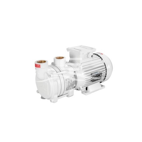 GIANNESCHI ACB 90E B 230V M 50Hz 0,55KW 2900RPM