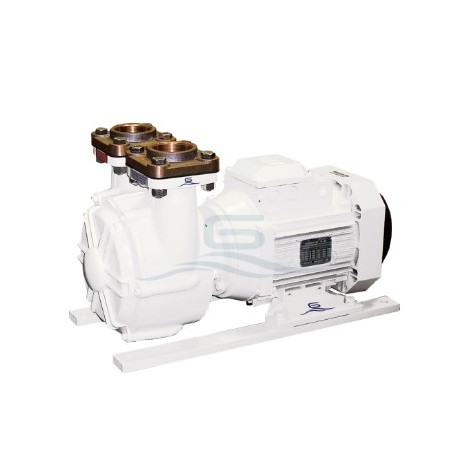 GIANNESCHI  ACB 332/B 230/400V 50hz 2,2 kw