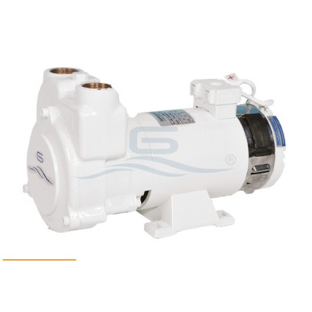 GIANNESCHI  CP 20 GW 230V 1PH 0,37KW 50/60HZ 2800rpm in bronze