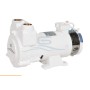 GIANNESCHI  CP 20 GW 230V 1PH 0,37KW 50/60HZ 2800rpm in bronze