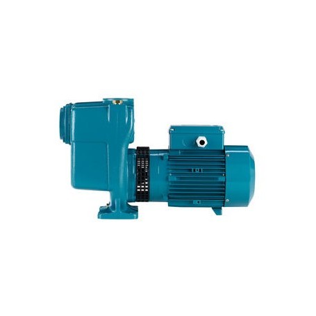 CALPEDA BTM61E 230V 50HZ 0.33kw