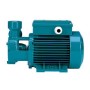 CALPEDA BTM 70/A 230V 50HZ 0.75kw 1 hp