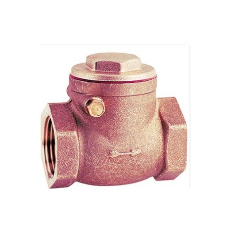 Check valve w/bronze 1" 1/2" bronze flapper