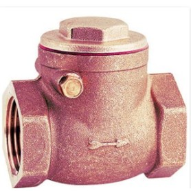 Check valve w/bronze 2" bronze flapper