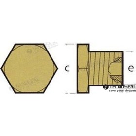Tecnoseal cooler anode plug 1/4 bspt