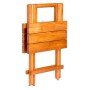 Marine Business Meca Plegable de teca 80x60cm