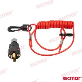 Ignition kill switch