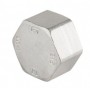 SS Female Cap 1" Genebre
