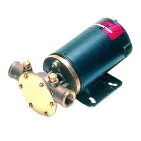 Johnson Pump F4B-19 bomba aceite-diesel-agua 12V