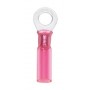 Wurth Terminal Termoretractil M6 Rojo 0.5-1.5Mm