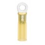Wurth Terminal Termoretractil M5 Amari. 4-6Mm