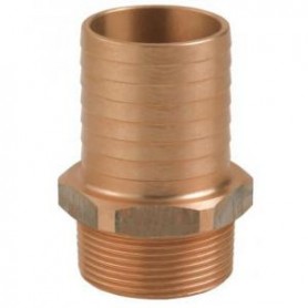 Entronque Bronce 1"1/2X50Mm Gd